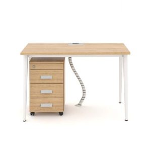 Ảnh sản phẩm Bàn chân đa giác 1m2 Gaea GA12T - 1