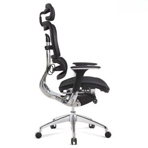 Ảnh sản phẩm Ghế lưới công thái học Sagitta S801 - 1