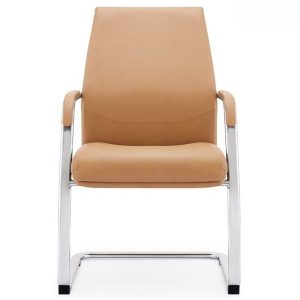 Ảnh sản phẩm Ghế quỳ da Antlia AN-1517C - 1