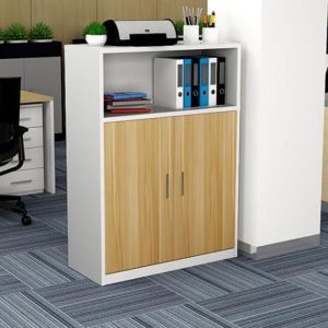 Ảnh sản phẩm Hệ tủ tài liệu thấp HTLT01-D