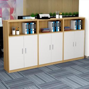 Ảnh sản phẩm Hệ tủ tài liệu thấp HTLT01-T