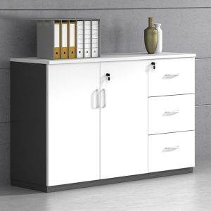 Ảnh sản phẩm Hệ tủ tài liệu thấp HTLT03-2C