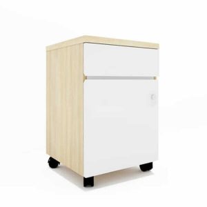 Ảnh sản phẩm Hộc di động HDD-20