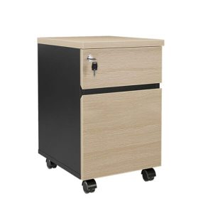 Ảnh sản phẩm Hộc di động HDD-22 - 1