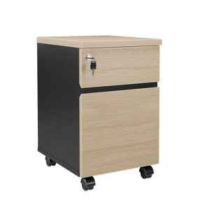 Ảnh sản phẩm Hộc di động HDD-22
