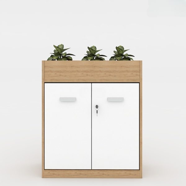 Ảnh sản phẩm Tủ cây trang trí CL90-02CT