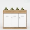 Ảnh sản phẩm Tủ cây trang trí CL90-03CT