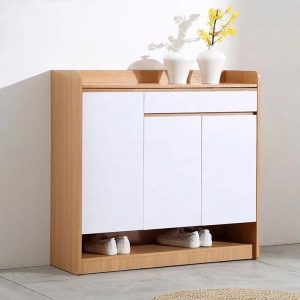 Ảnh sản phẩm Tủ để giày TG06-100