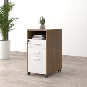 Ảnh sản phẩm Tủ phụ di động TP12