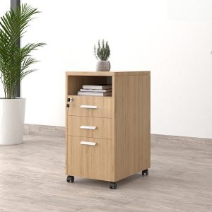 Ảnh sản phẩm Tủ phụ di động TP12-N