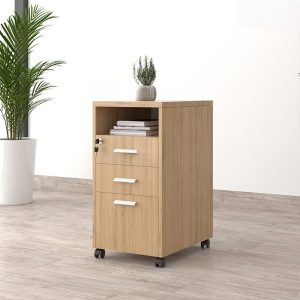 Ảnh sản phẩm Tủ phụ di động TP12-N