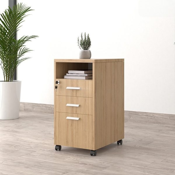 Ảnh sản phẩm Tủ phụ di động TP12-N