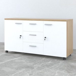 Ảnh sản phẩm Tủ phụ di động TP1T