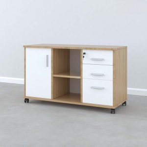 Ảnh sản phẩm Tủ phụ di động TP2-100