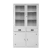 Ảnh sản phẩm Tủ sắt 2 cánh kính có ngăn kéo TSK-02