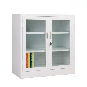 Ảnh sản phẩm Tủ tài liệu 2 khoang kính thấp TL07-T - 1