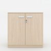 Ảnh sản phẩm Tủ tài liệu CL-T01