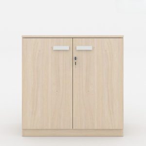 Ảnh sản phẩm Tủ tài liệu CL-T01