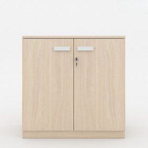 Ảnh sản phẩm Tủ tài liệu CL-T01