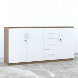 Ảnh sản phẩm Tủ tài liệu CL-T03 - 1