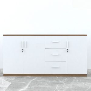 Ảnh sản phẩm Tủ tài liệu CL-T03