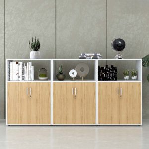 Ảnh sản phẩm Tủ tài liệu CL120-240