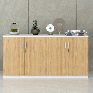 Ảnh sản phẩm Tủ tài liệu CL80-160