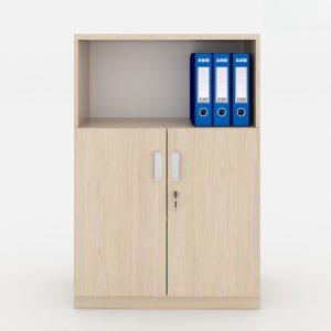 Ảnh sản phẩm Tủ tài liệu classic CL120-03