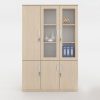 Ảnh sản phẩm Tủ tài liệu Classic CL200-08B