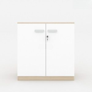 Ảnh sản phẩm Tủ tài liệu classic CL80-01T