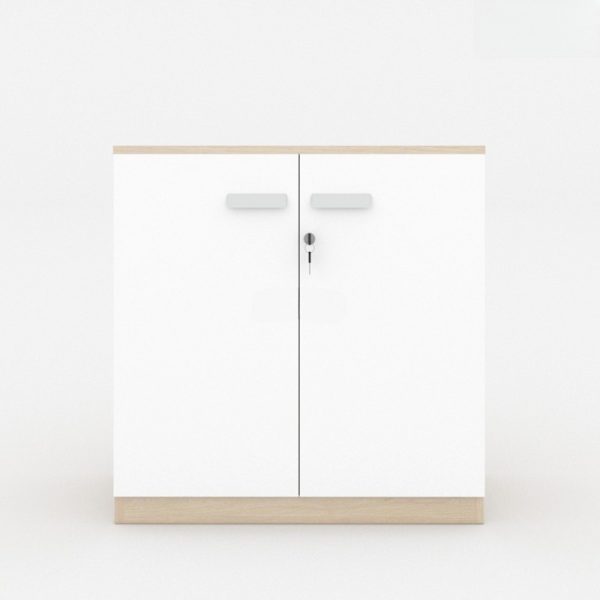 Ảnh sản phẩm Tủ tài liệu classic CL80-01T
