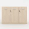 Ảnh sản phẩm Tủ tài liệu classic CL80-04