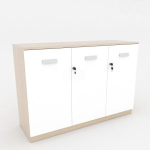 Ảnh sản phẩm Tủ tài liệu classic CL80-04T - 1
