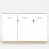 Ảnh sản phẩm Tủ tài liệu classic CL80-04T