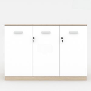 Ảnh sản phẩm Tủ tài liệu classic CL80-04T