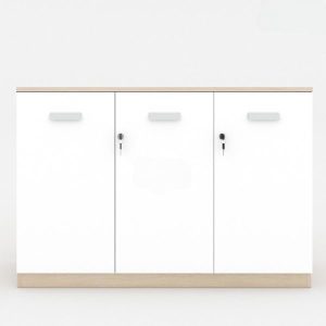 Ảnh sản phẩm Tủ tài liệu classic CL80-04T