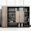 Ảnh sản phẩm Tủ tài liệu giám đốc TGD05-3C