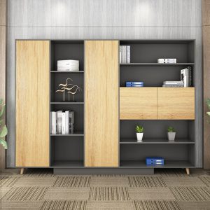 Ảnh sản phẩm Tủ tài liệu giám đốc TGD06-5C