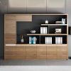 Ảnh sản phẩm Tủ tài liệu giám đốc TGD07-8C