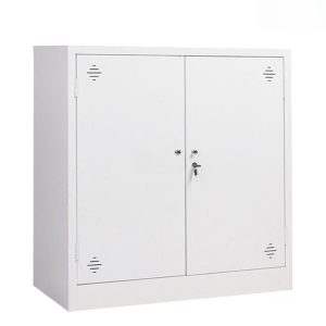 Ảnh sản phẩm Tủ tài liệu sắt thấp 2 cánh sắt TL08-T - 1