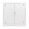 Ảnh sản phẩm Tủ tài liệu sắt thấp 2 cánh sắt TL08-T