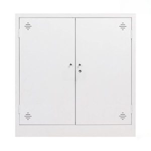 Ảnh sản phẩm Tủ tài liệu sắt thấp 2 cánh sắt TL08-T