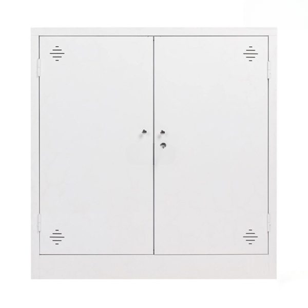 Ảnh sản phẩm Tủ tài liệu sắt thấp 2 cánh sắt TL08-T