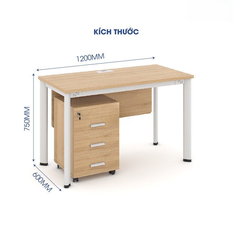 Ảnh sản phẩm Bàn chân Oval 1m2 OV12D-Y-T - 4