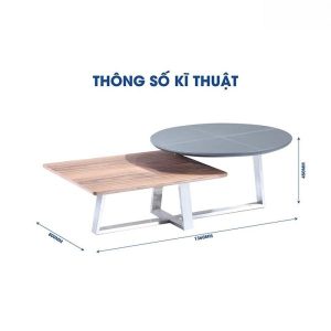 Ảnh sản phẩm Bàn trà T-81-1 - 2