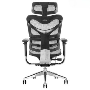 Ảnh sản phẩm Ghế lưới công thái học Sagitta S801 - 2