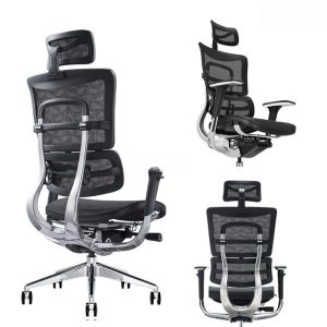 Ảnh sản phẩm Ghế lưới công thái học Sagitta S801 - 2