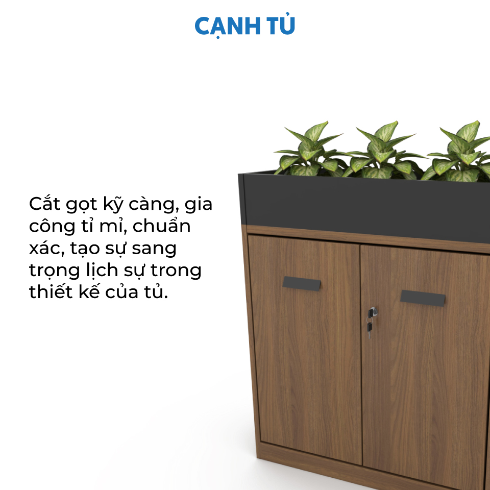 Ảnh mô tả sản phẩm - Tủ cây trang trí CL90-02C