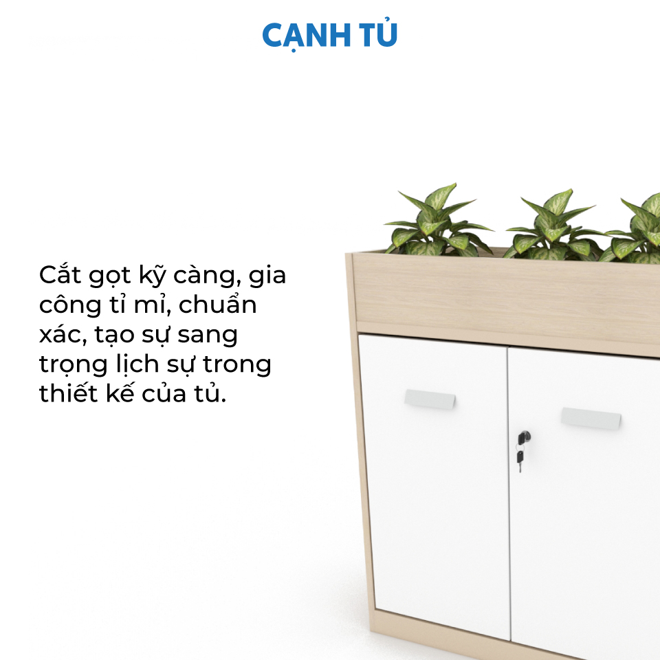 Ảnh mô tả sản phẩm - Tủ cây trang trí CL90-02CT