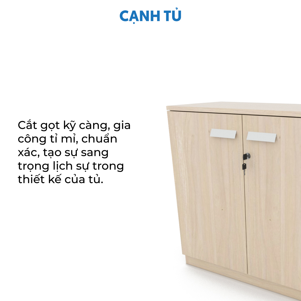 Ảnh mô tả sản phẩm - Tủ tài liệu CL-T01